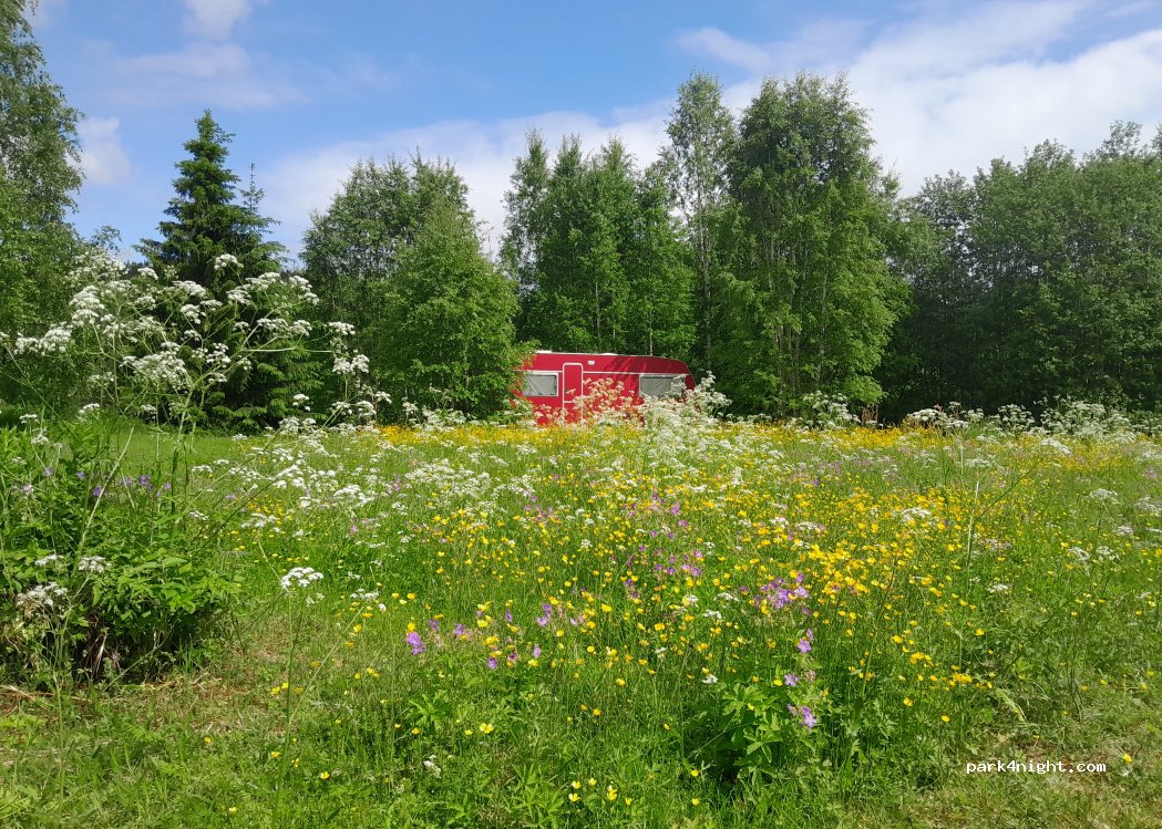 Xanthias lilla Skogskafé — foto 5