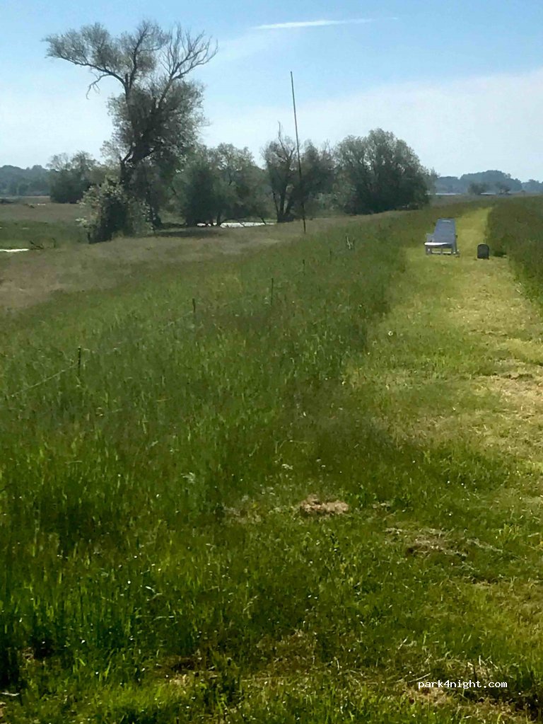 (15324) Letschin - Straße durch Zelliner-Loose — foto