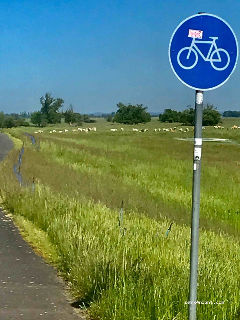 (15324) Letschin - Straße durch Zelliner-Loose — foto 3