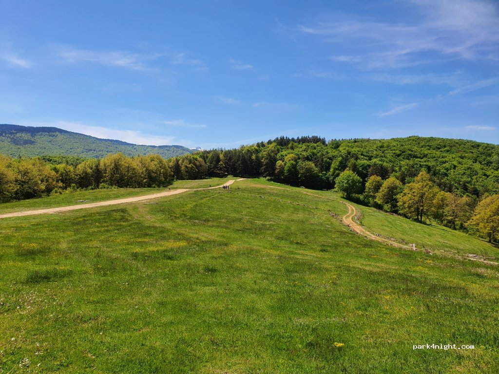 (2025)  - Unnamed Road — foto 2