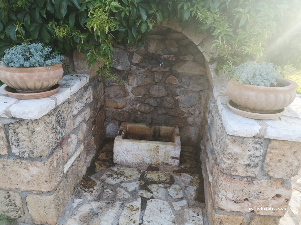 Ardamis — foto 2