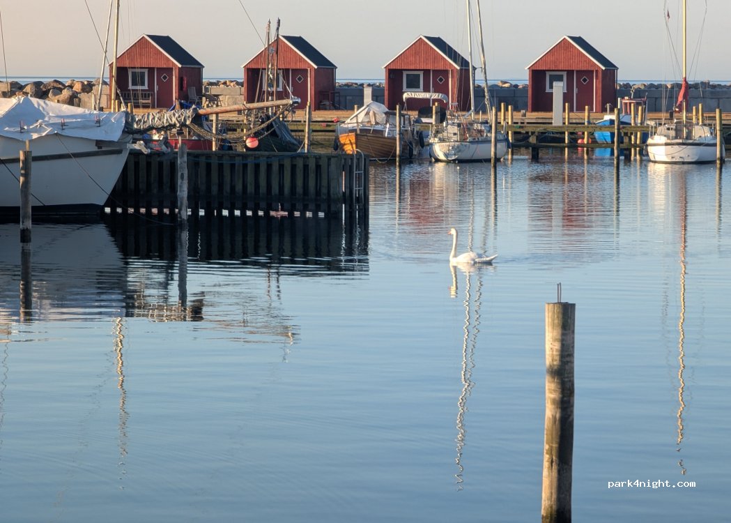 Rødvig Havn — foto 5