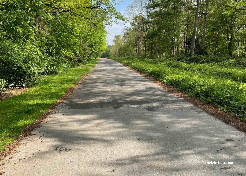 (40723) Hilden - 45 Ohligser Weg — foto 3