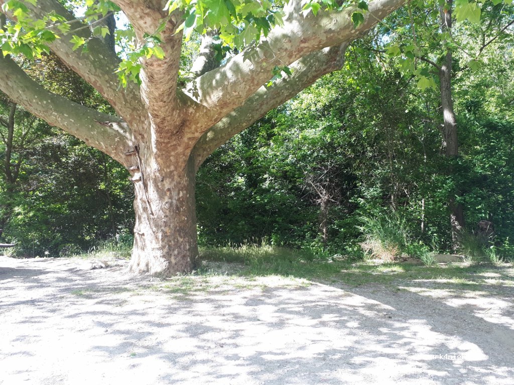 (34150) Saint-Jean-de-Fos - 6787 Chemin de la Meuse — foto 3