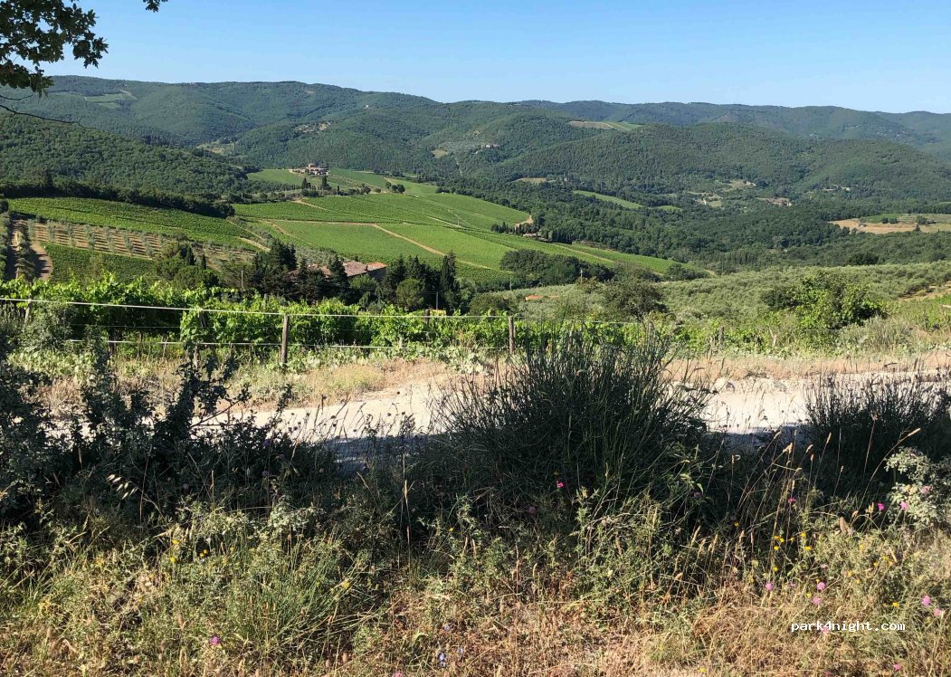 (50022) Greve in Chianti - Località San Leolino — foto