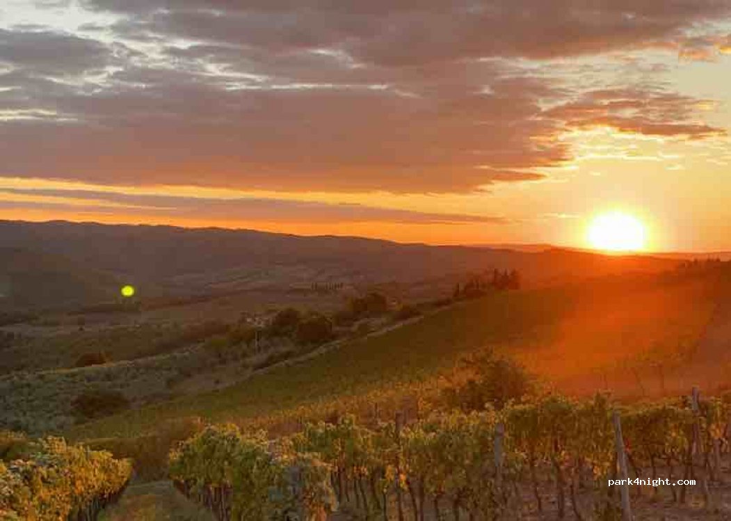 (50022) Greve in Chianti - Località San Leolino — foto 2