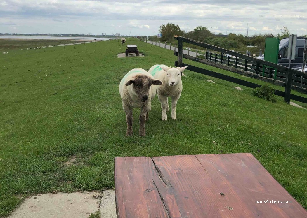 (25813) Simonsberg, Nordfriesland - 3 Lundenbergweg — foto