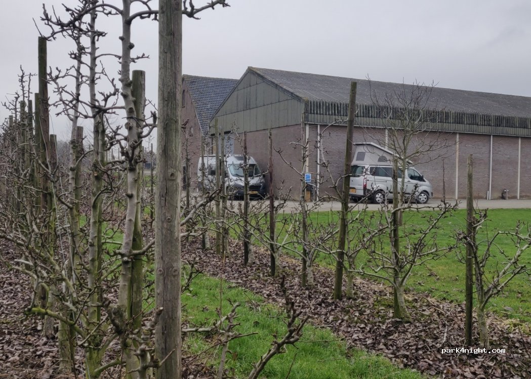 Vossenstreken — foto