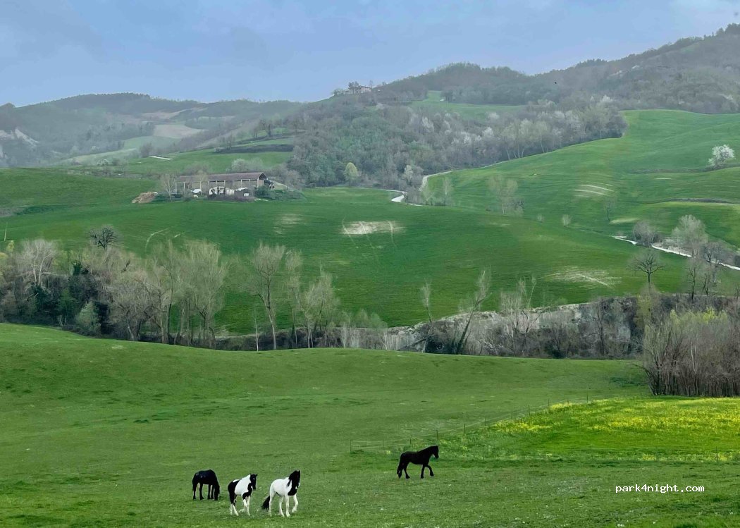 Agriturismo Da Mezzanotte di Amantini e Bucchi — foto 4
