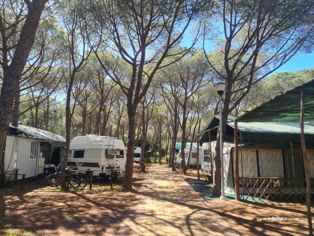 Camping Internazionale Etruria — foto