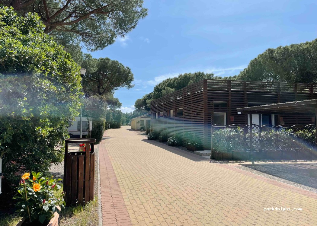 Camping Internazionale Etruria — foto 3