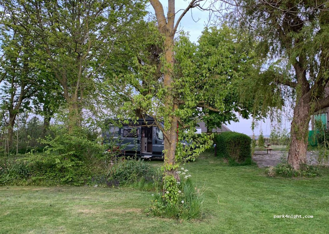Camping Hazenoord — foto