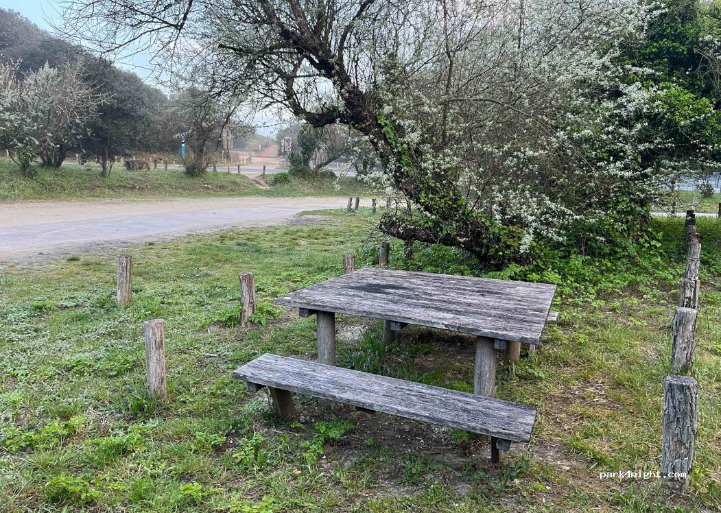 (17190) Saint-Georges-d'Oléron - 70 Allée de la Chardonnière(Domino) — foto 3
