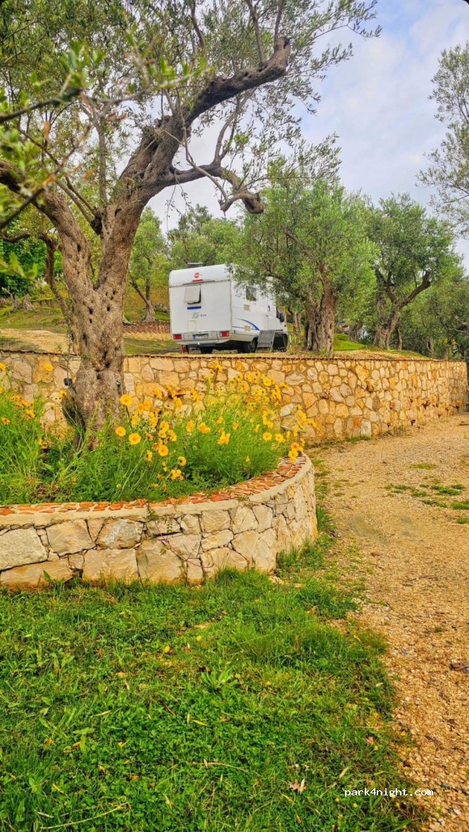 Mali Camping — foto 5
