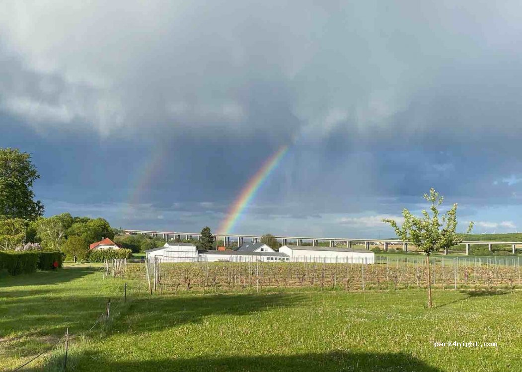 Weingut Wolfgang Born — foto 2