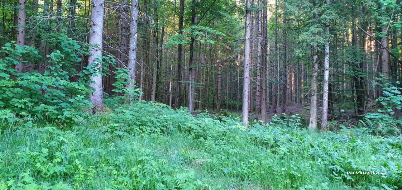 (4814) Altmünster am Traunsee - Grossalm Landesstrasse — foto 3