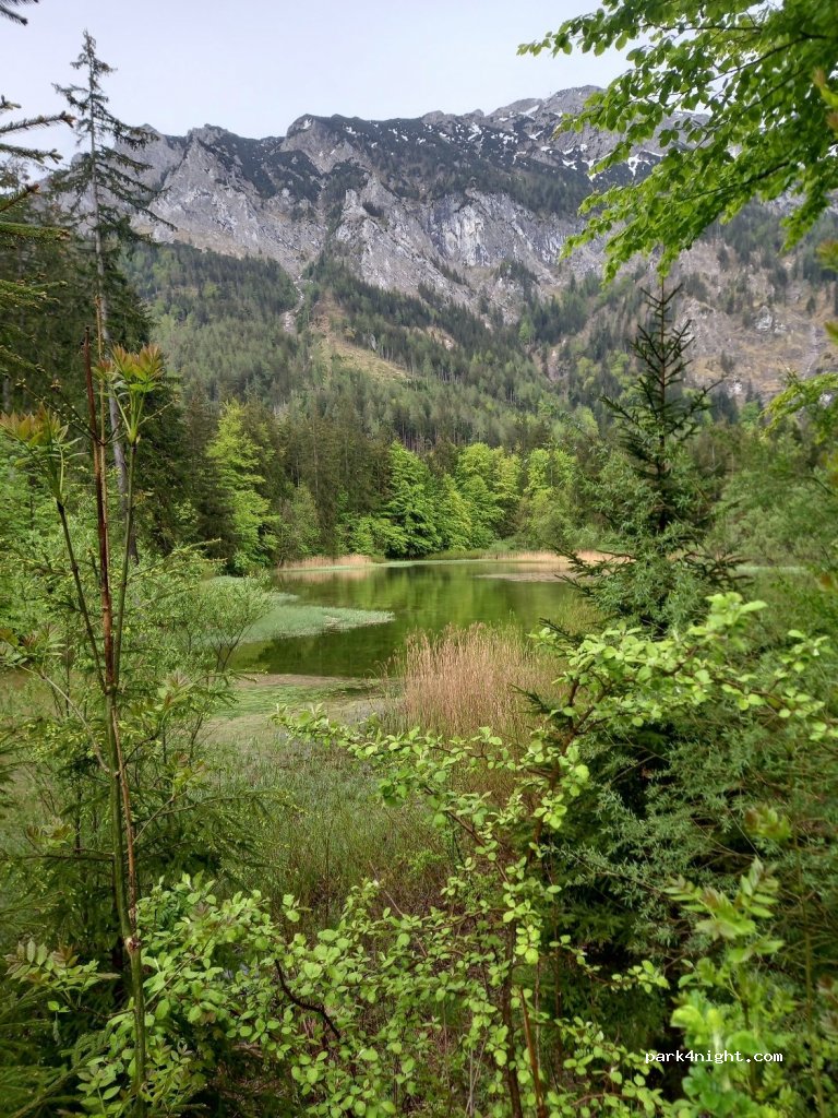 (4814) Altmünster am Traunsee - Grossalm Landesstraße — foto