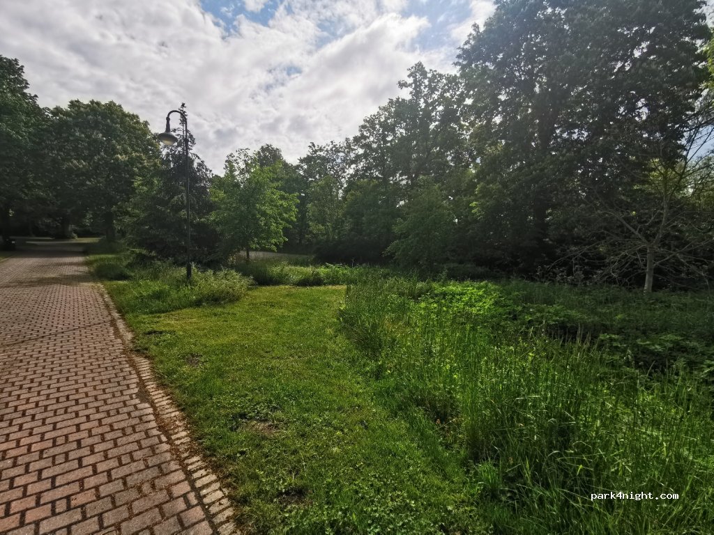 (39345) Flechtingen - 9 Forsthausweg — foto 3