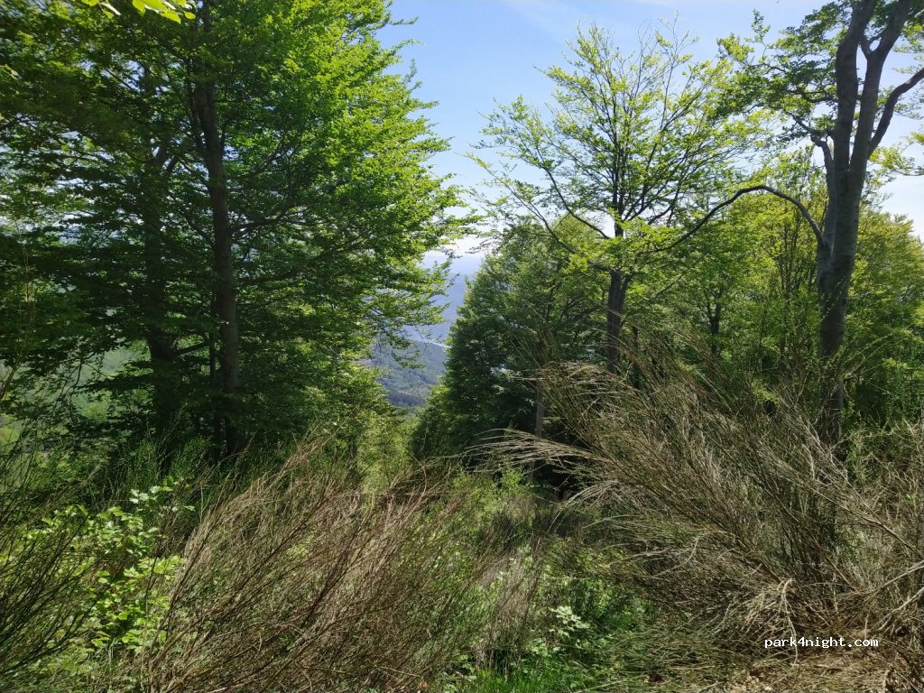 (28826) Oggebbio - Unnamed Road — foto