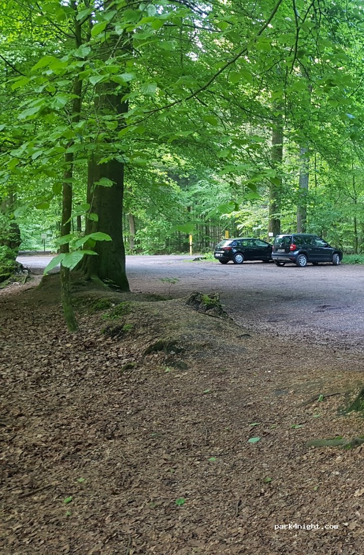 (27711) Osterholz-Scharmbeck - Waldparkplatz — foto