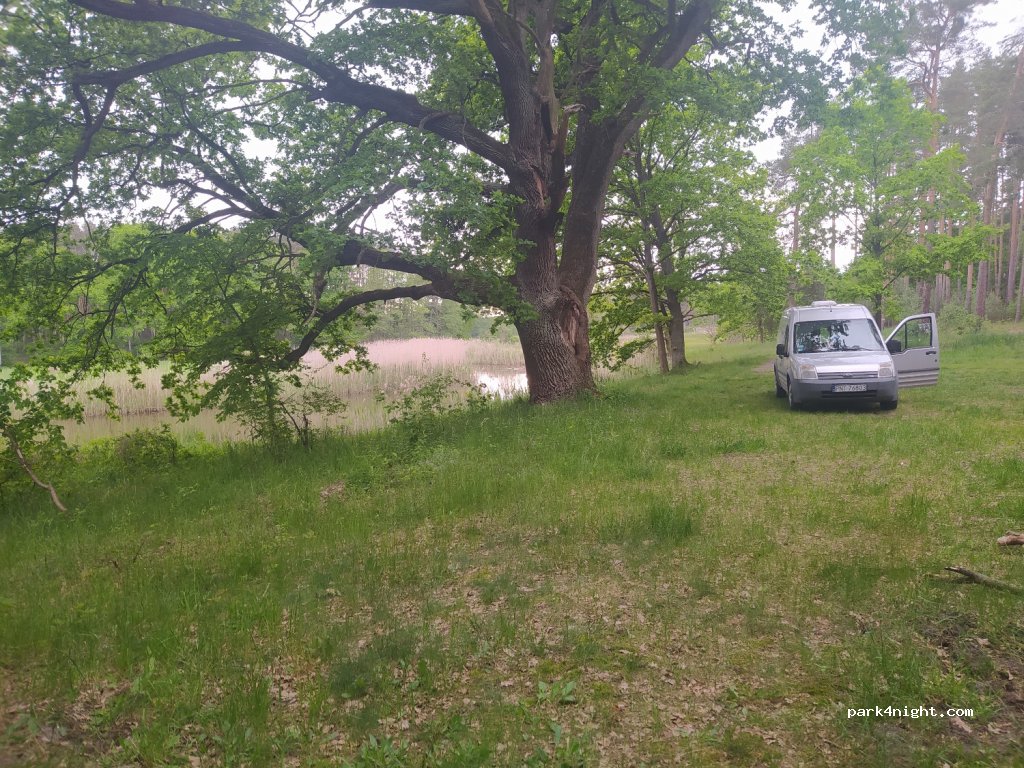 (66) Pszczew - Unnamed Road — foto