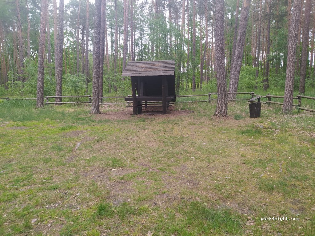 (66) Pszczew - Unnamed Road — foto 2
