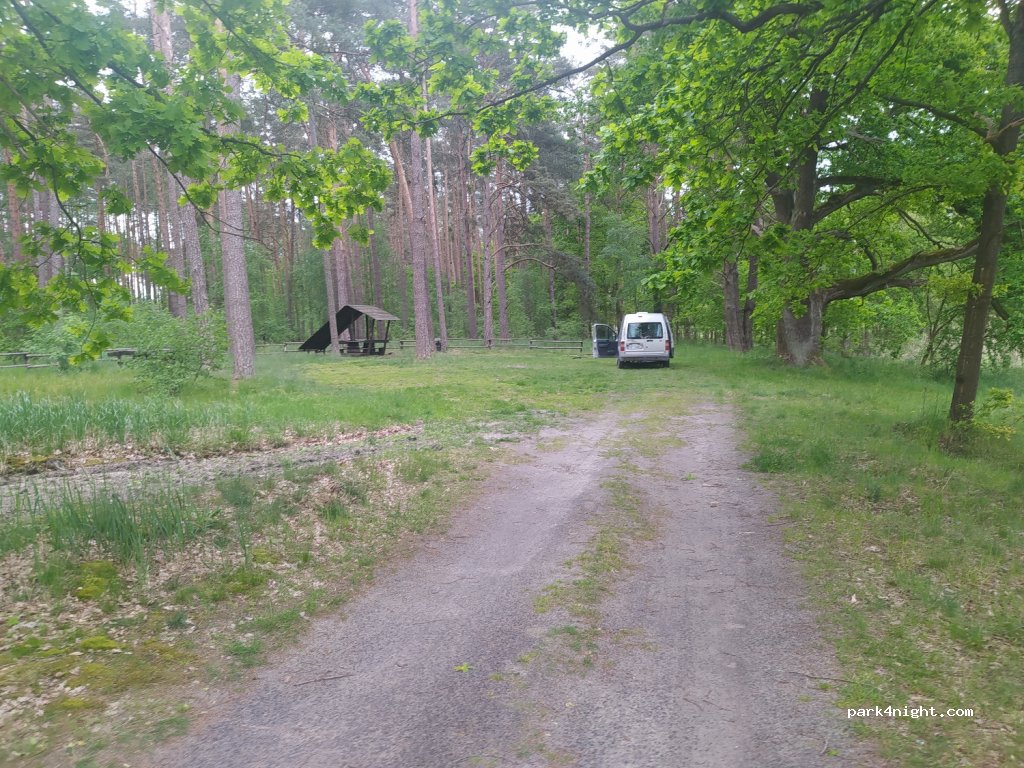 (66) Pszczew - Unnamed Road — foto 3