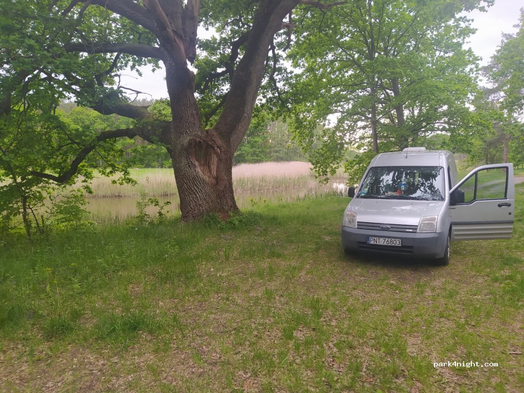 (66) Pszczew - Unnamed Road — foto 4