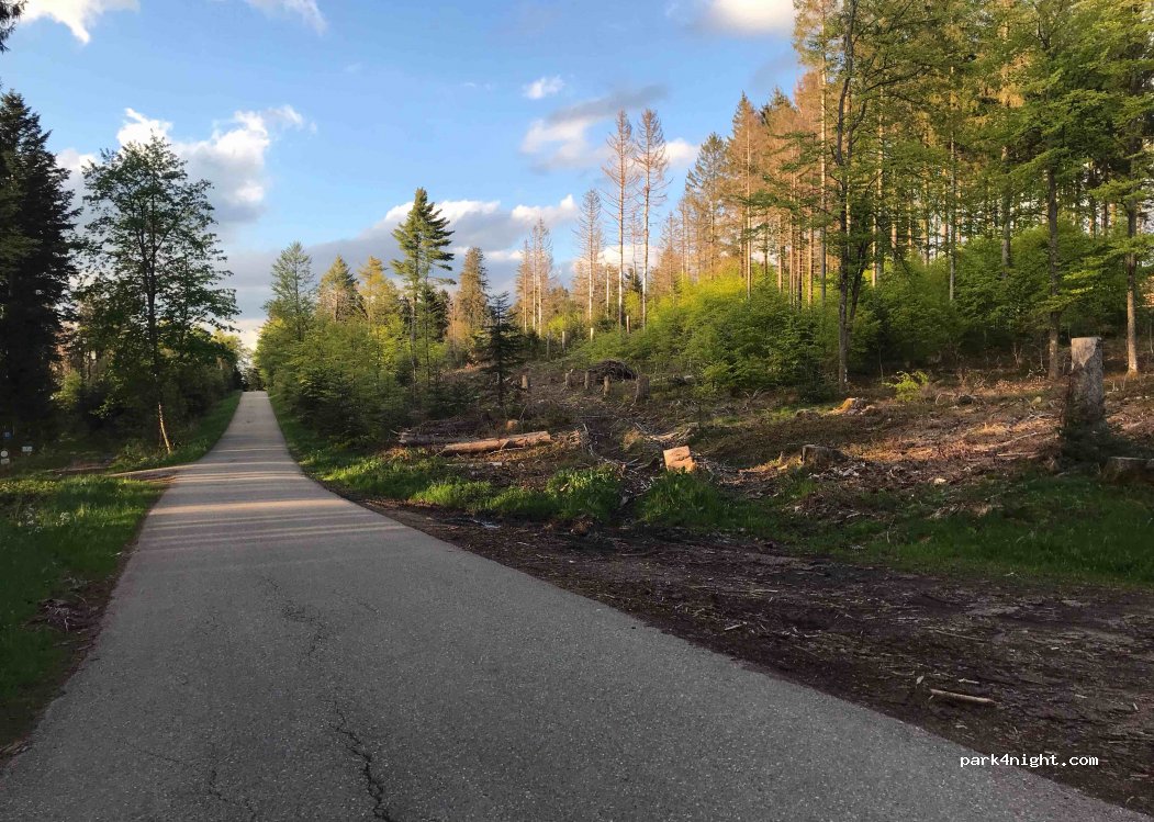 (79737) Herrischried - Unnamed Road — foto