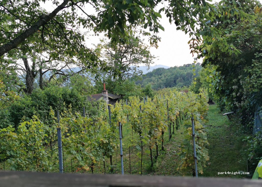 (2102) Bisamberg - 16-14 Kirchweingarten — foto