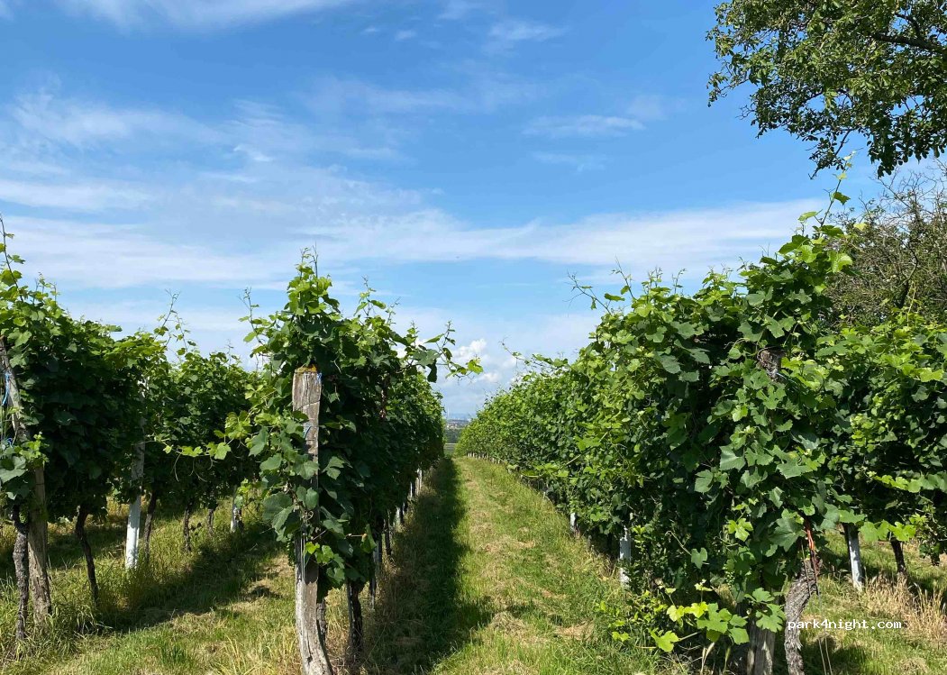 Marbacher Hof — foto 5
