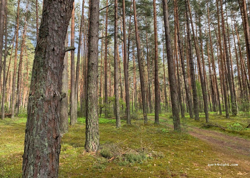 (10151) Vilnius - Balžio gatvė — foto