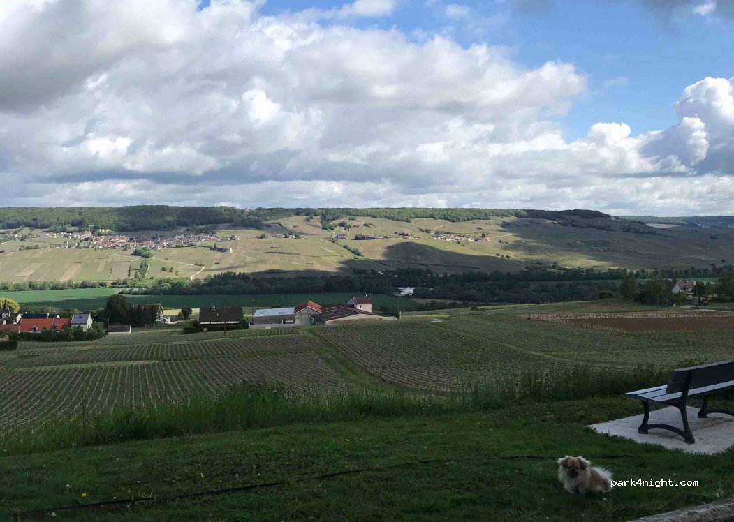 (51480) Boursault - 17 Rue Domaine Perignon — foto 2