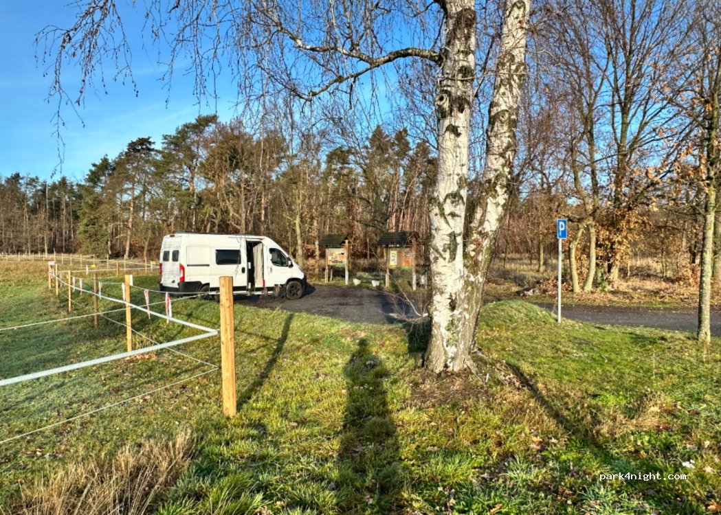 (01561) Thiendorf - — foto