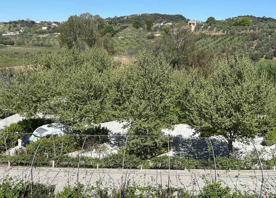 Camping AgriTourism Huqi — foto 4