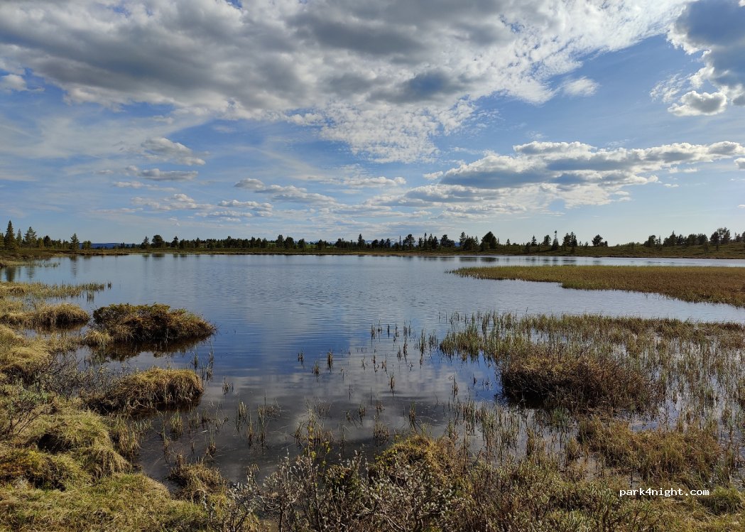 (2640) Vinstra - 57 Skårålia — foto 2