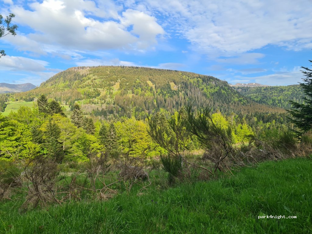 (63680) La Tour-d'Auvergne - La Charbonnière — foto