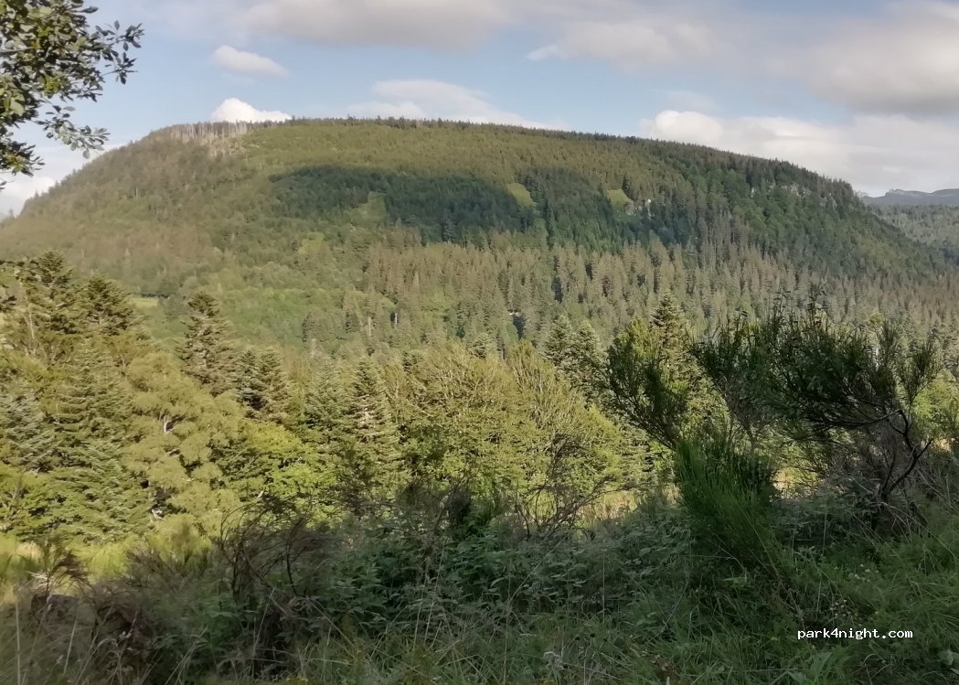 (63680) La Tour-d'Auvergne - La Charbonnière — foto 3