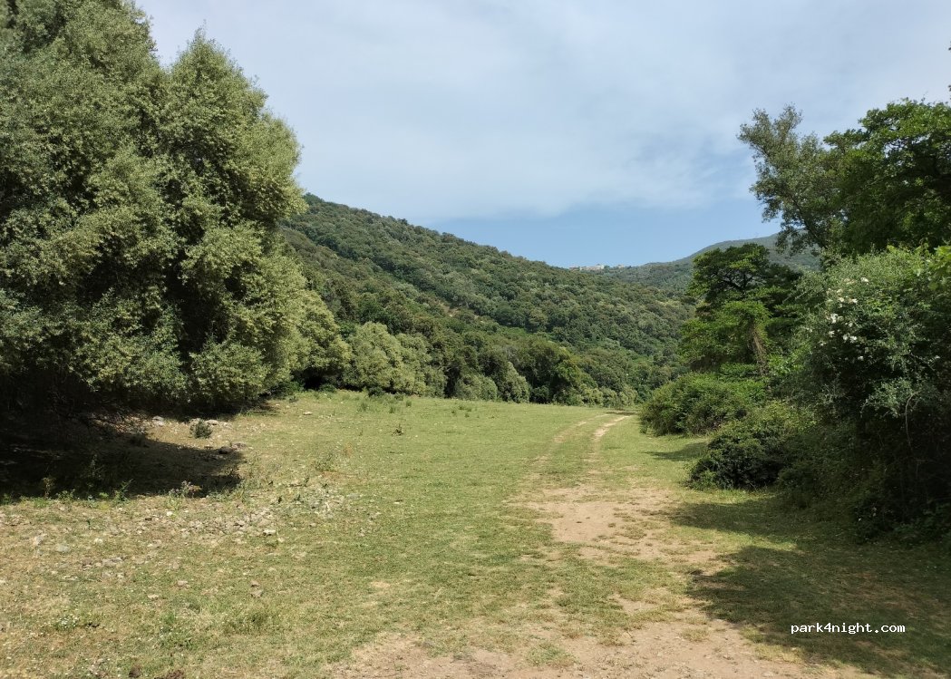 (20165) Loreto-Di-Tallano - Musato — foto 3