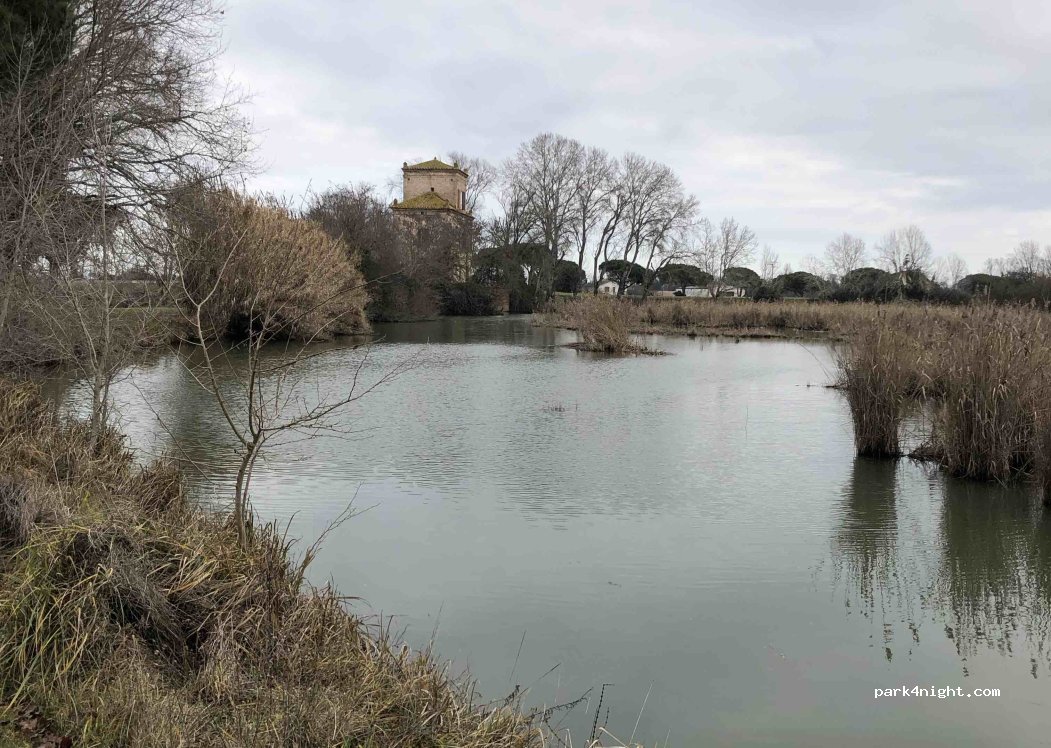 (44026) Mesola - 1 Via Mura — foto 5