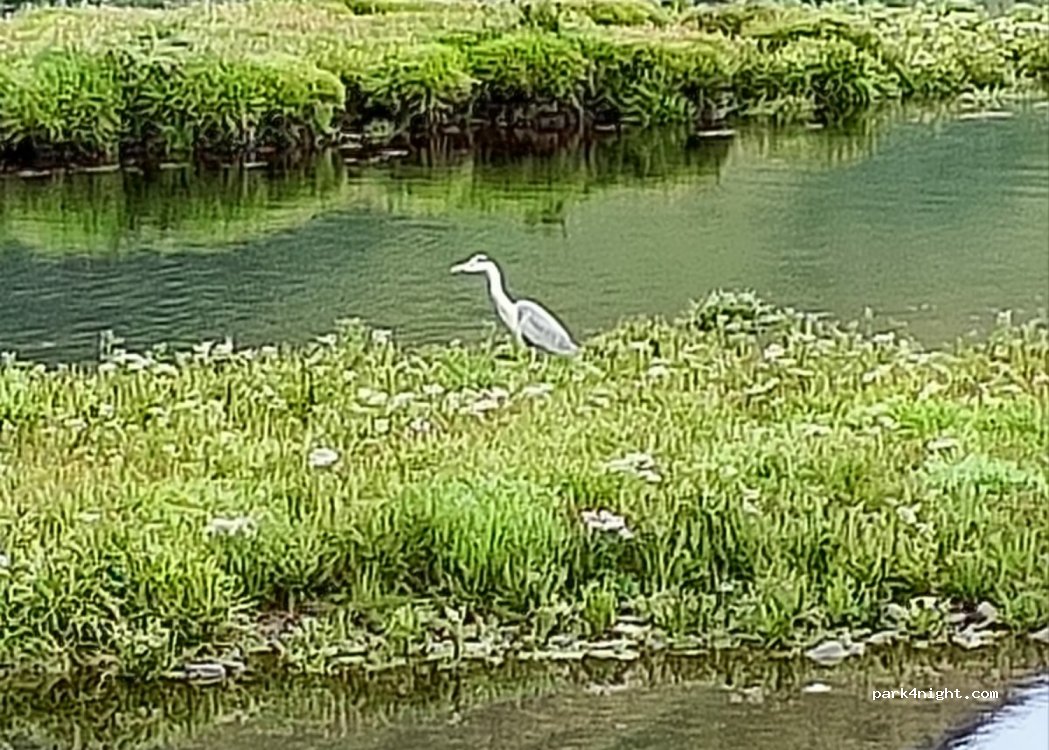 () Connemara - N59 — foto 3