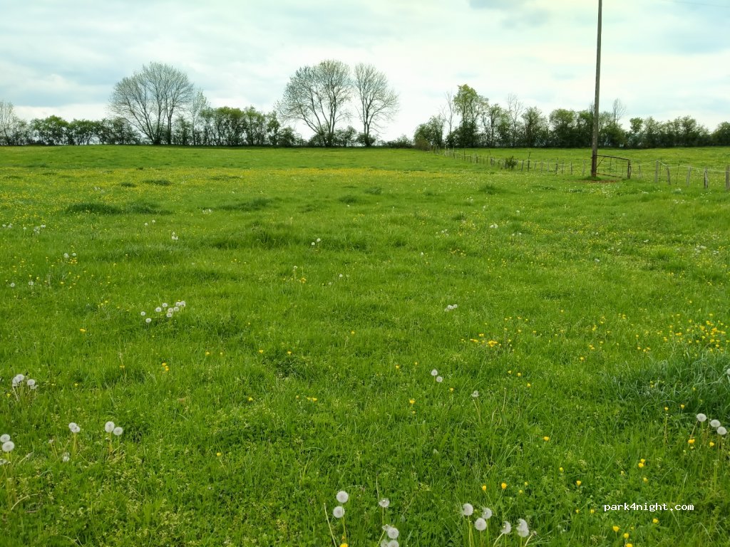 Le Mag'O Vert — foto