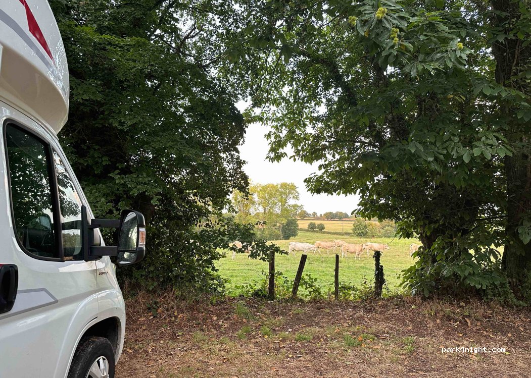 Le Petit Camping La Chagnée — foto 4