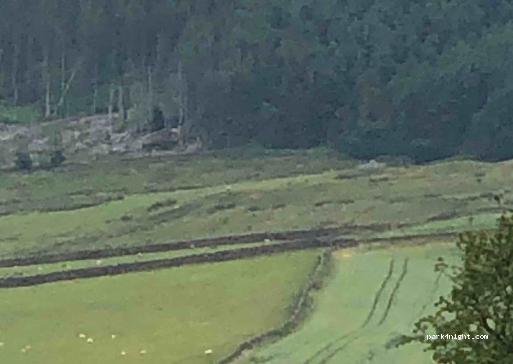 Craven Heifer — foto 3