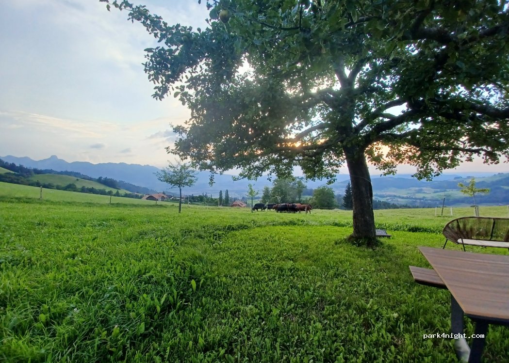 Oasenhof-homberg — foto 4