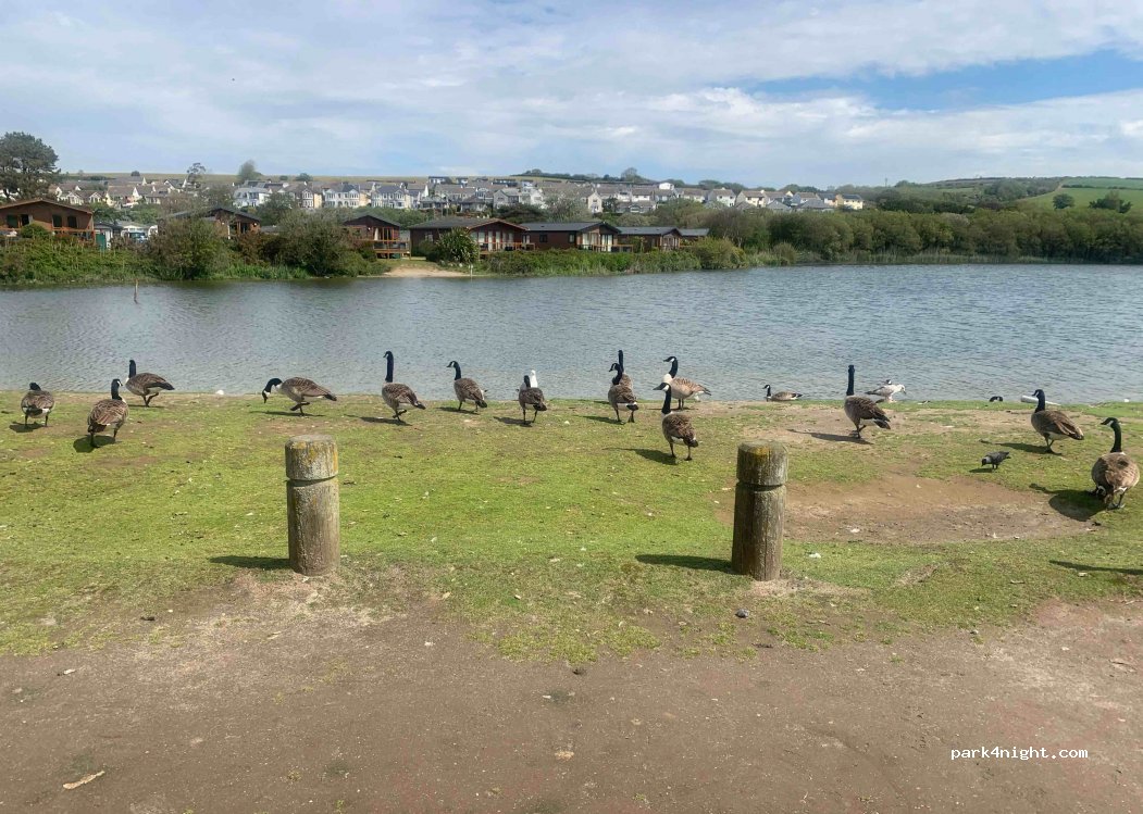 (PL24 2AS) Par - South West Coast Path — foto