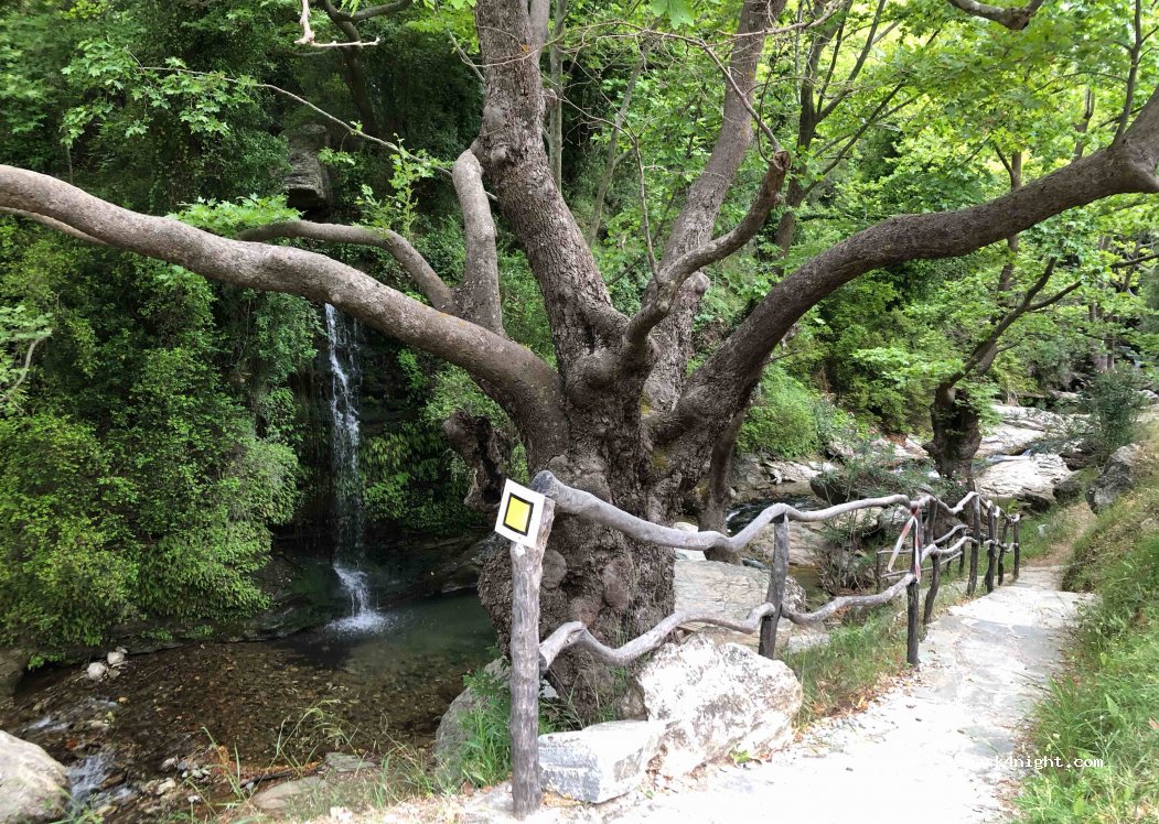 (340 01) Karistos - Eparchiaki Odos Karistou - Amigdalias — foto 3
