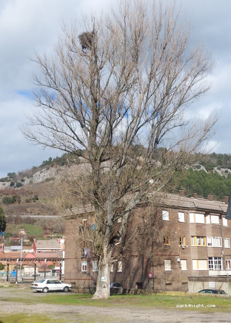 (24600) La Pola de Gordón - 18D Calle Capitán Lozano — foto 3
