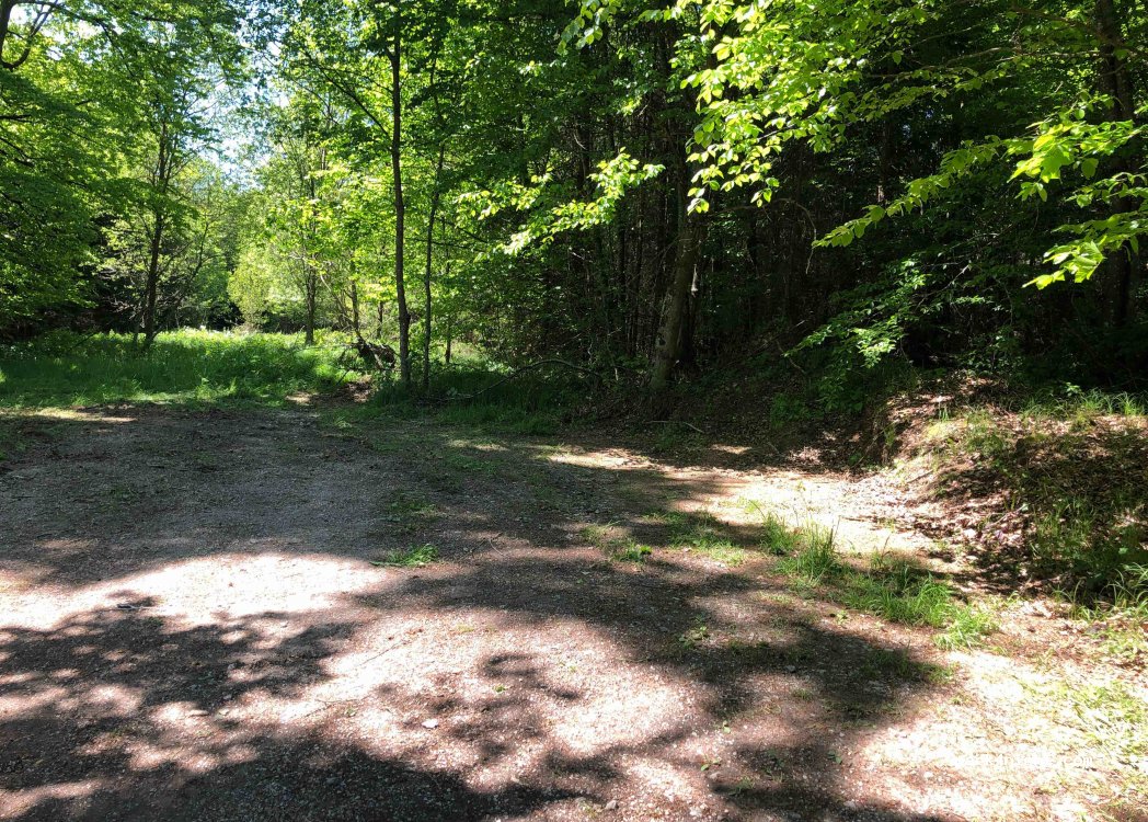 (73488) Ellenberg - Unnamed Road — foto