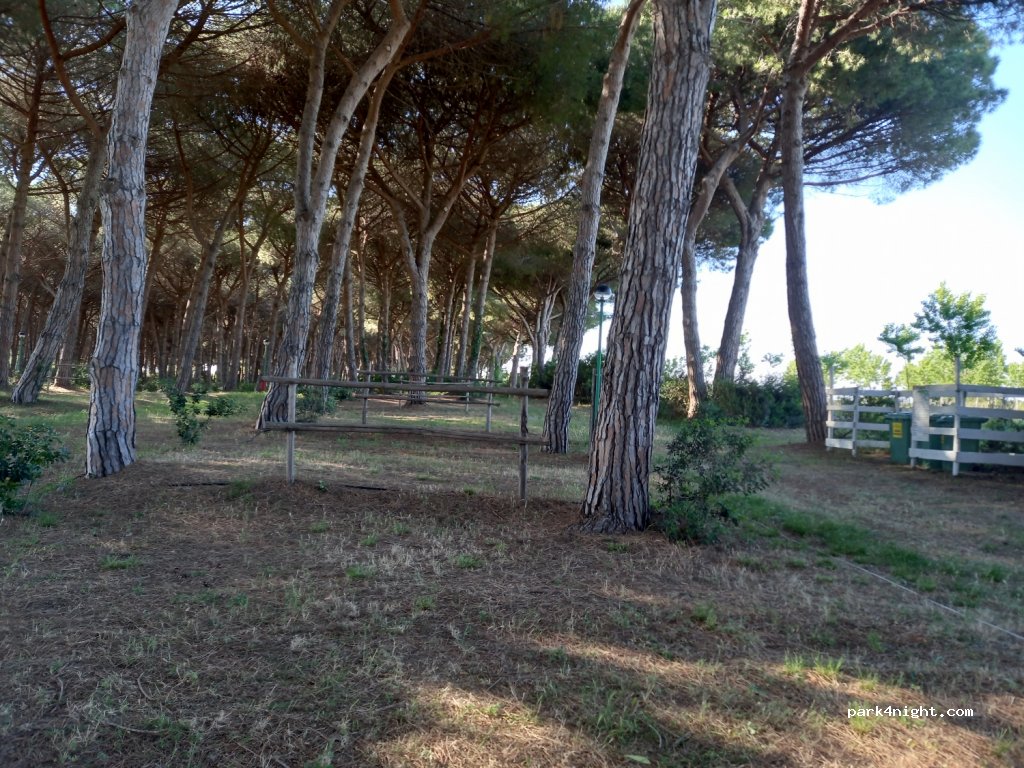 (01016) Riva dei Tarquini - — foto